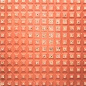 PT-RED004T