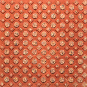 PT-RED011T
