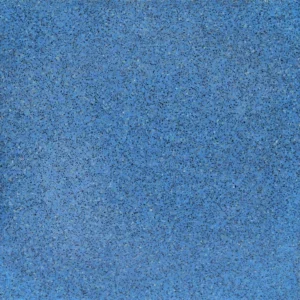 PT-PM-BL-01