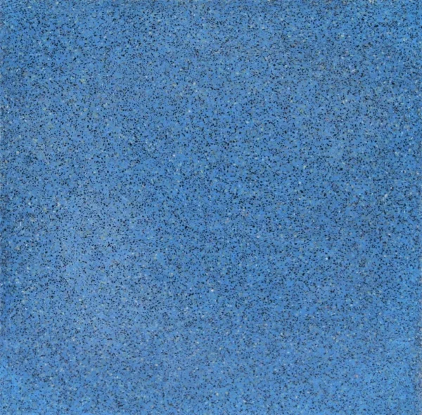 PT-PM-BL-01