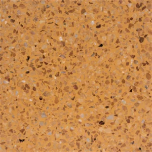 PT-PM-Y-01