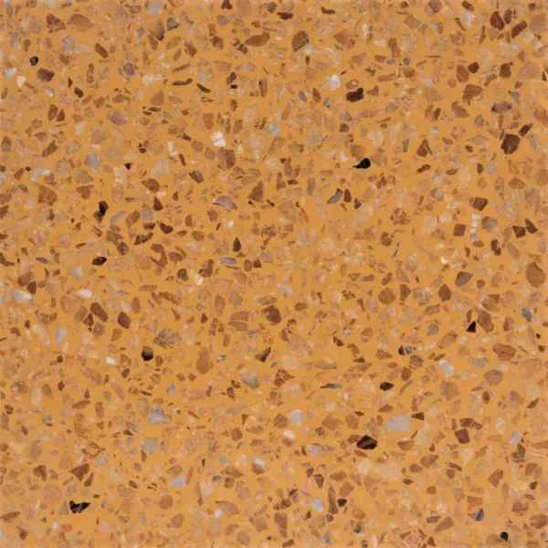 PT-PM-Y-01