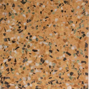 PT-PM-Y-02