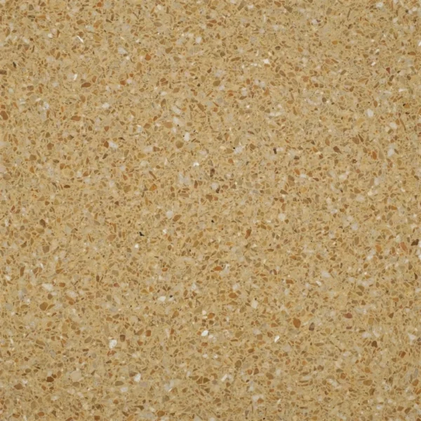 PT-PM-Y-04