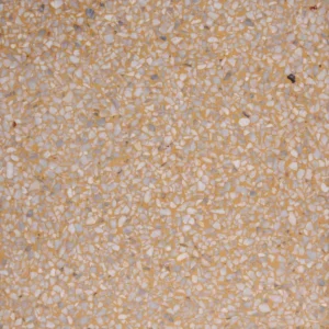 PT-PM-Y-05