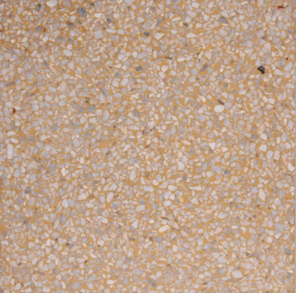PT-PM-Y-05